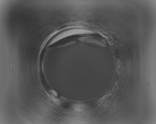 X0000076300200200610061313
