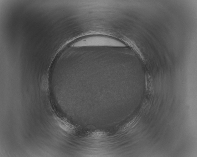 X0000076300204200610061313