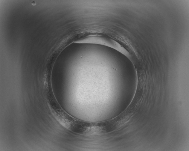 X0000076300212200610061312