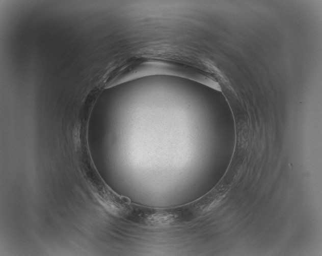 X0000076300213200610061312