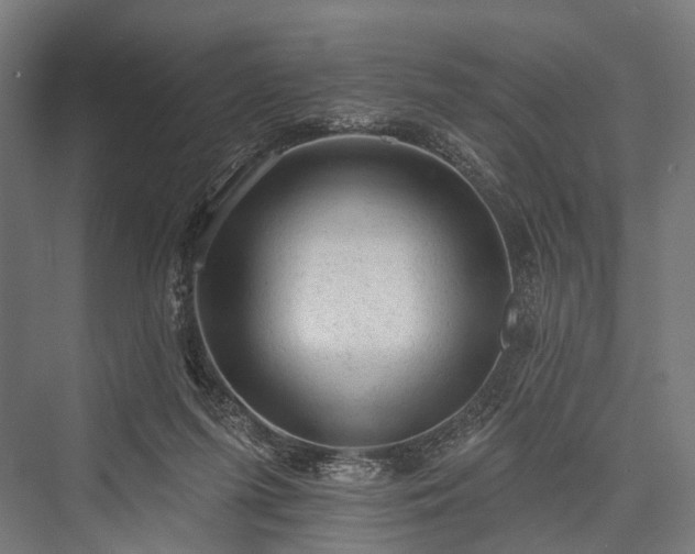 X0000076300215200610061312