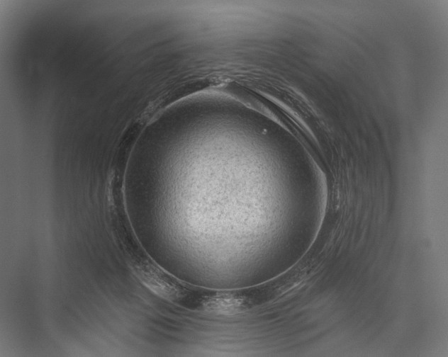 X0000076300217200610061312