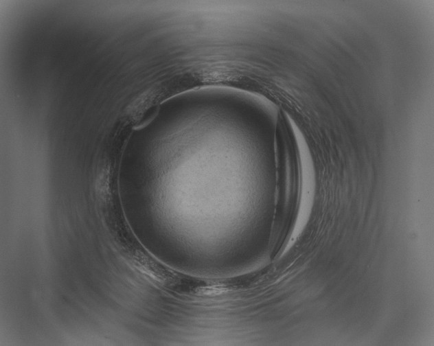 X0000076300219200610061312