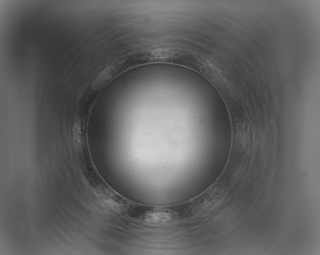 X0000076300220200610061312