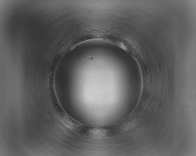 X0000076300221200610061312