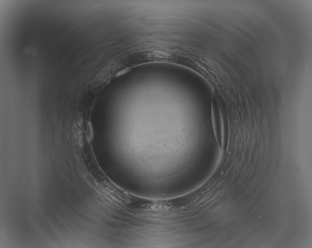 X0000076300223200610061312