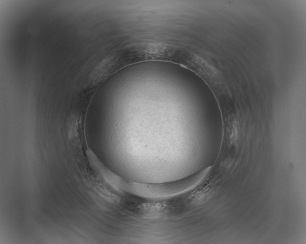 X0000076300225200610061312