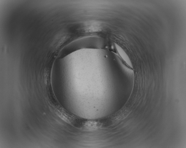 X0000076300227200610061312