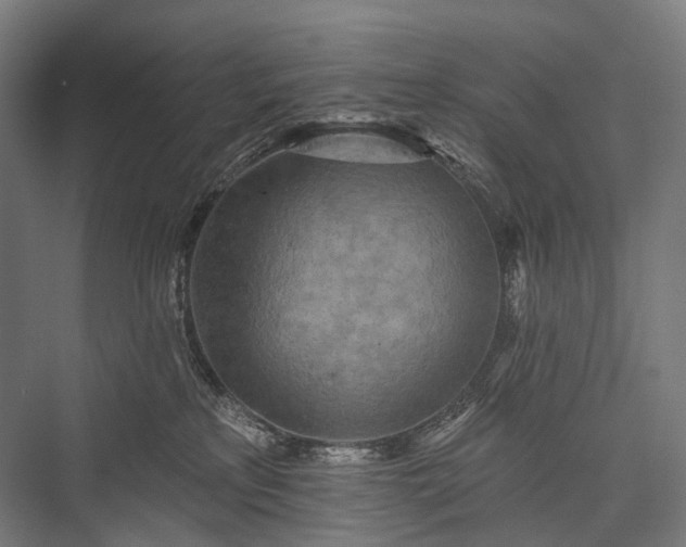 X0000076300233200610061312