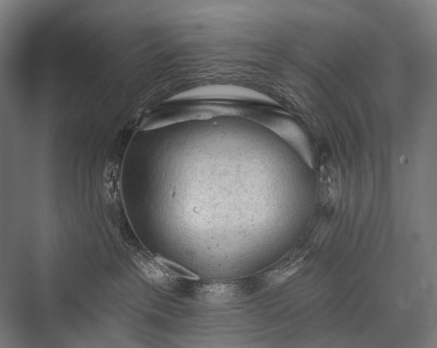 X0000076300237200610061312