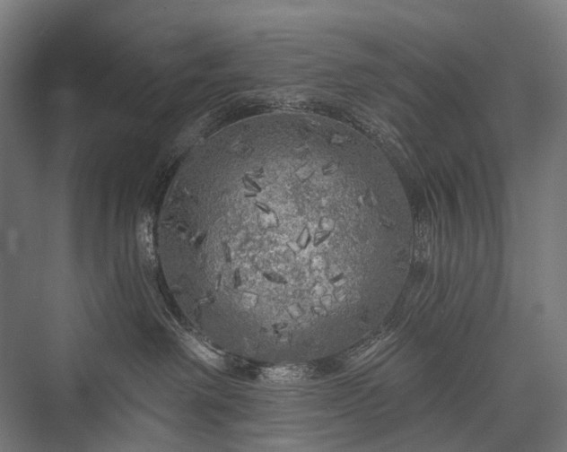 X0000076300238200610061312