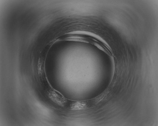 X0000076300239200610061312