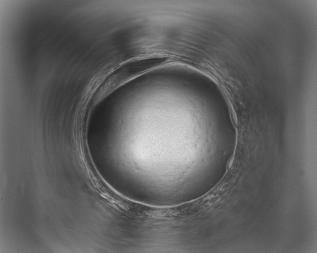 X0000076300241200610061311