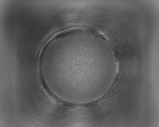 X0000076300243200610061311