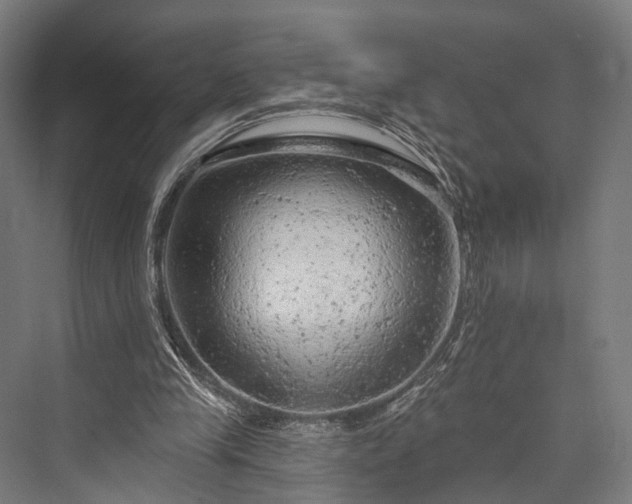 X0000076300245200610061311