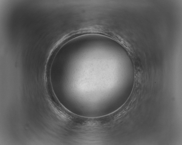 X0000076300248200610061311
