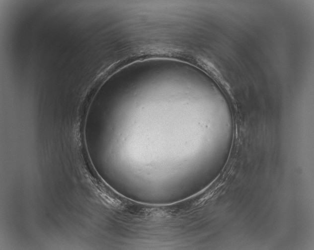 X0000076300249200610061311