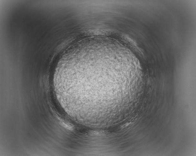 X0000076300250200610061311