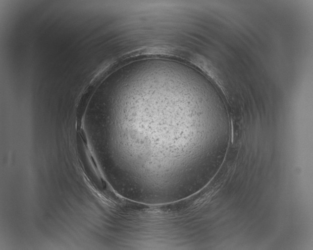 X0000076300253200610061311