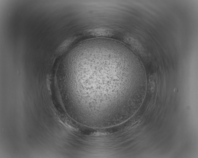 X0000076300255200610061311