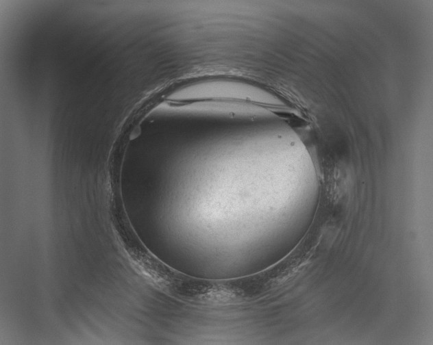 X0000076300256200610061311