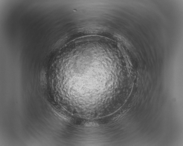 X0000076300258200610061311
