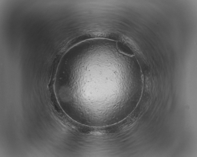 X0000076300259200610061311