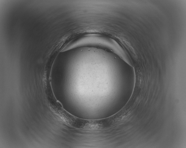 X0000076300260200610061311