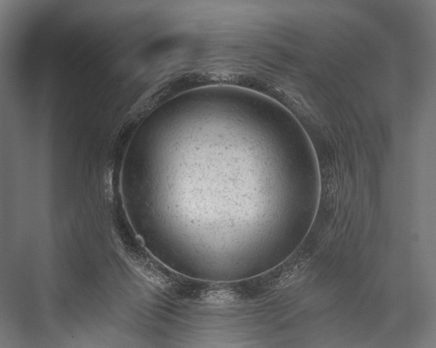 X0000076300262200610061311