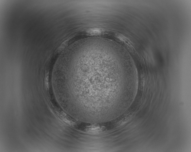 X0000076300267200610061312