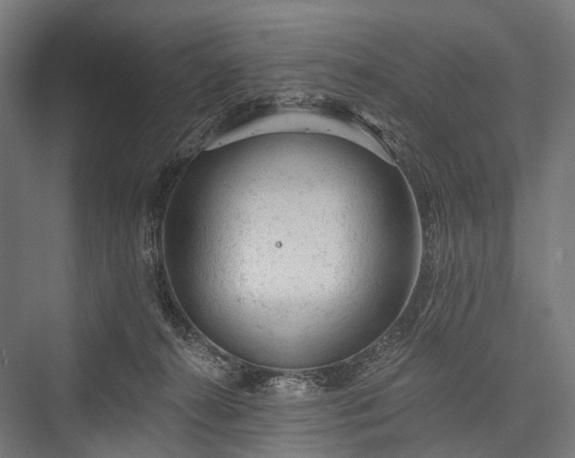 X0000076300272200610061312