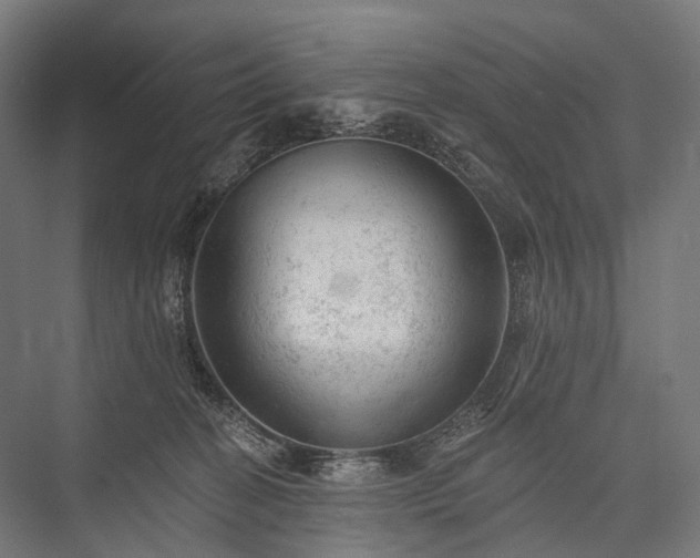 X0000076300274200610061312