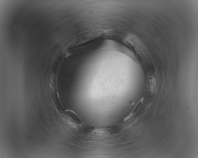 X0000076300280200610061312