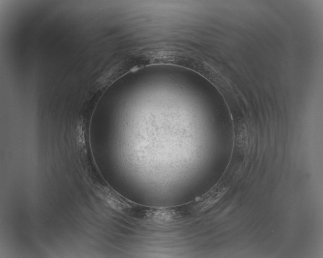 X0000076300282200610061312