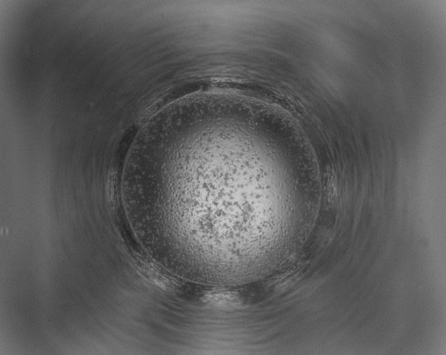 X0000076300283200610061312