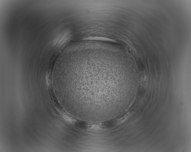 X0000076300285200610061312