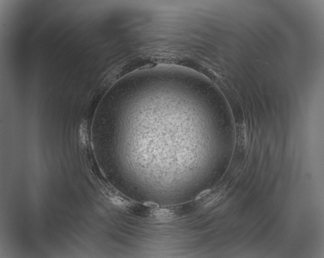 X0000076300287200610061312