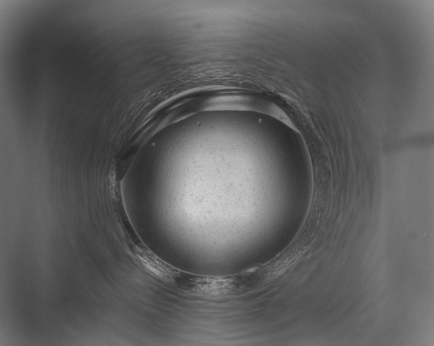 X0000076300288200610061312