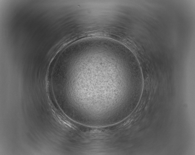 X0000076300290200610061311