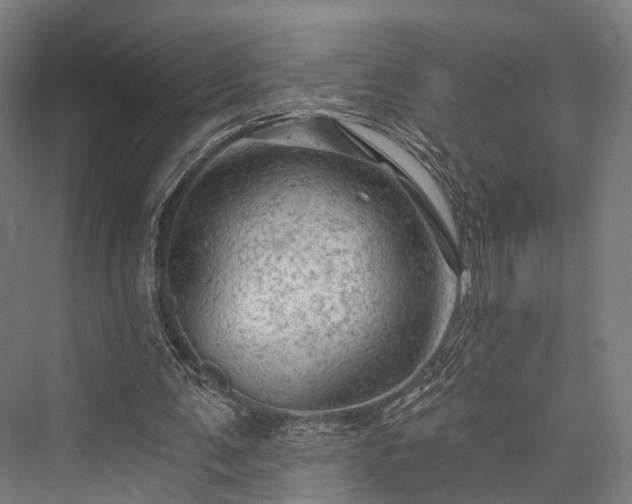 X0000076300291200610061311