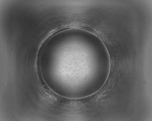 X0000076300292200610061311