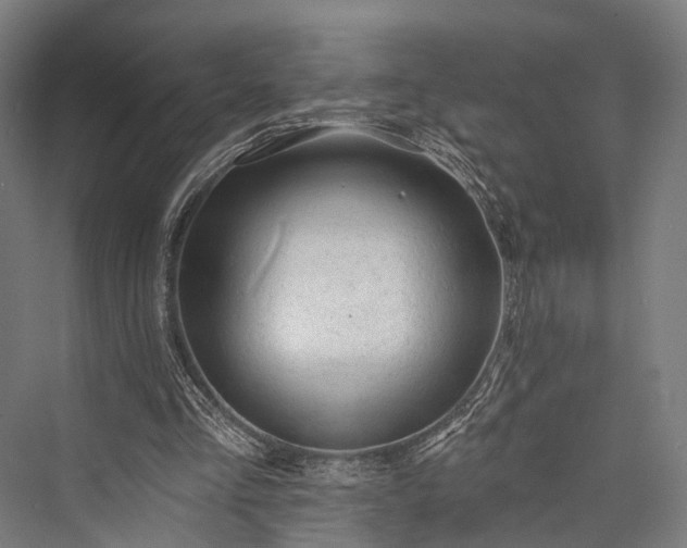 X0000076300293200610061311