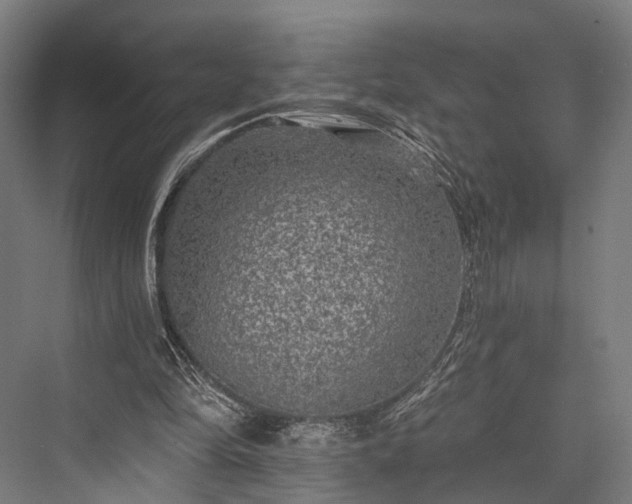X0000076300294200610061311