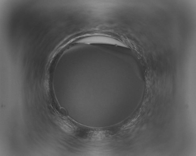 X0000076300295200610061311
