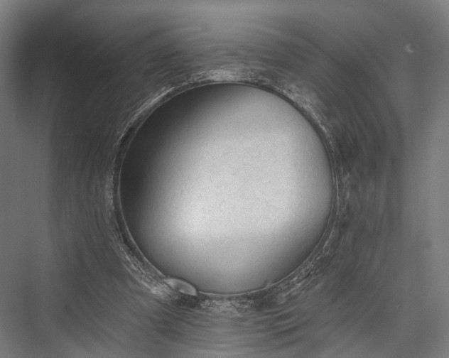 X0000076300297200610061311