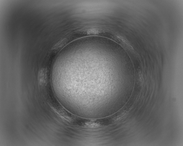 X0000076300311200610061311