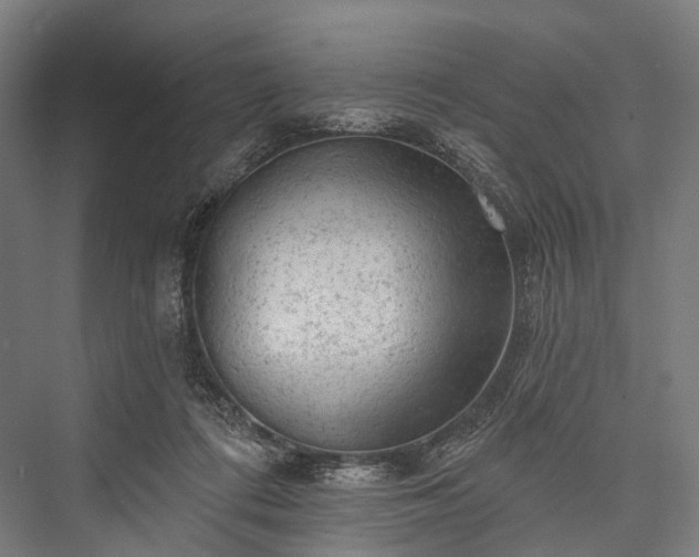 X0000076300312200610061311