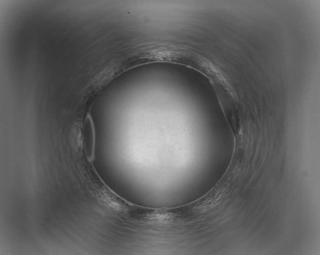 X0000076300313200610061311