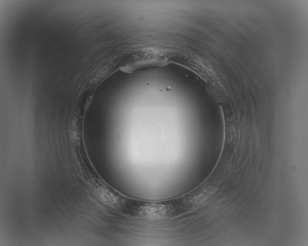 X0000076300317200610061311