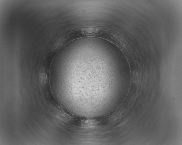 X0000076300324200610061310